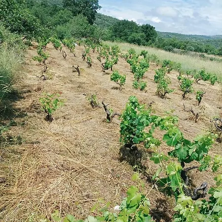 Paradise דירה מרינה