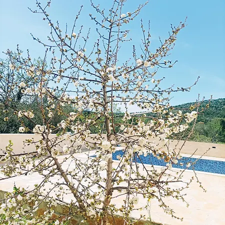Lägenhet Paradise