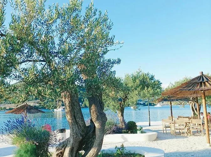 Paradise Marina